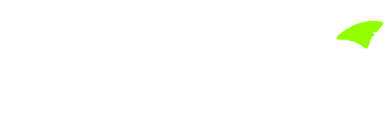 Teach Shark
